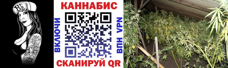 Марихуана планчик  Купить где  Калачинск 